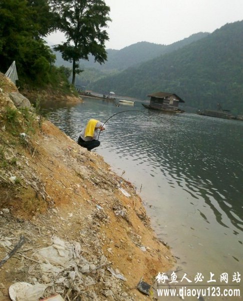 水库钓鲢鱼