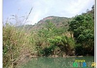 八宝河钓板鲫第二季终获过斤鲫