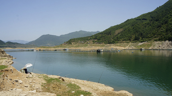 白龙湖钓大鱼