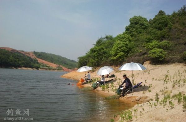 水库钓点