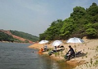 水库钓鲤鱼集体爆护