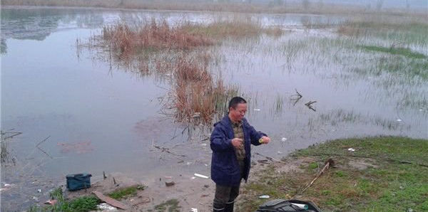 野塘钓鲫鱼