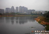 3米6手竿钓获15斤野生大鲤鱼