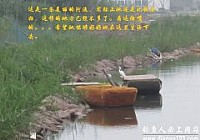 高射炮打蚊子长竿钓小鱼