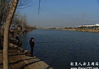传统钓法长竿钓大鲫鱼