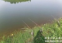 垂钓长寿湖鲫鱼鲤鱼鲶鱼黑鱼桂鱼黄颡鱼全钓到