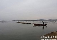 秋钓鸭河渔获多多