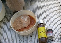 绝杀鲫小爽七星湖湿地