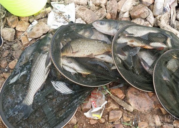 最后渔获