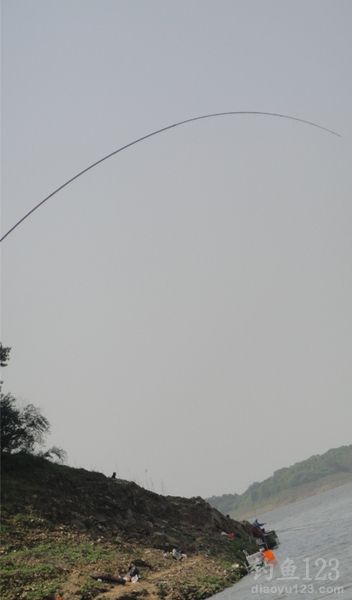 中大青鱼