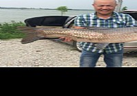 岳阳华容东湖钓青鱼破个人记录单尾中32斤