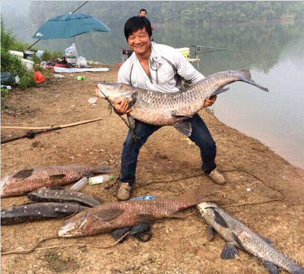 清江河钓鱼