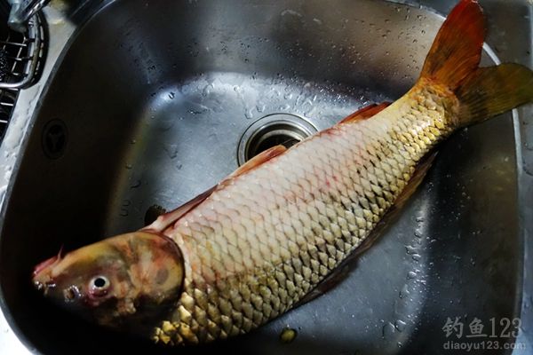 夏季钓鱼技巧