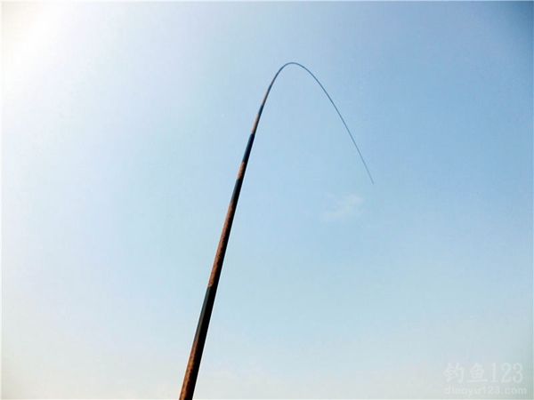 夏季钓鲫鱼