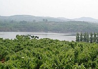 夏季野钓黄仁水库满是黄姑鱼