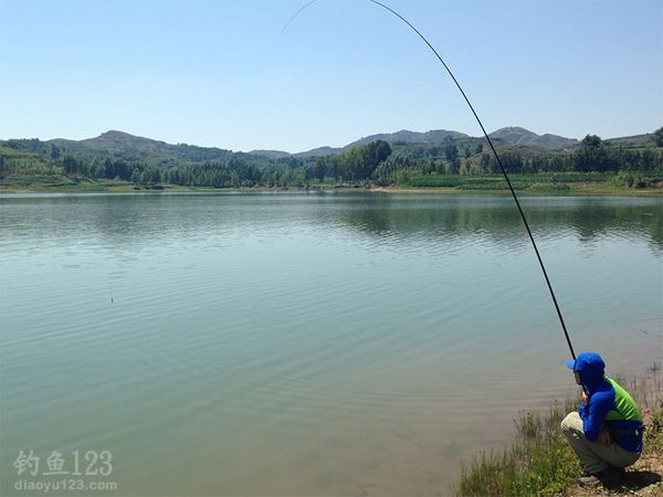 云竹湖钓鲤鱼
