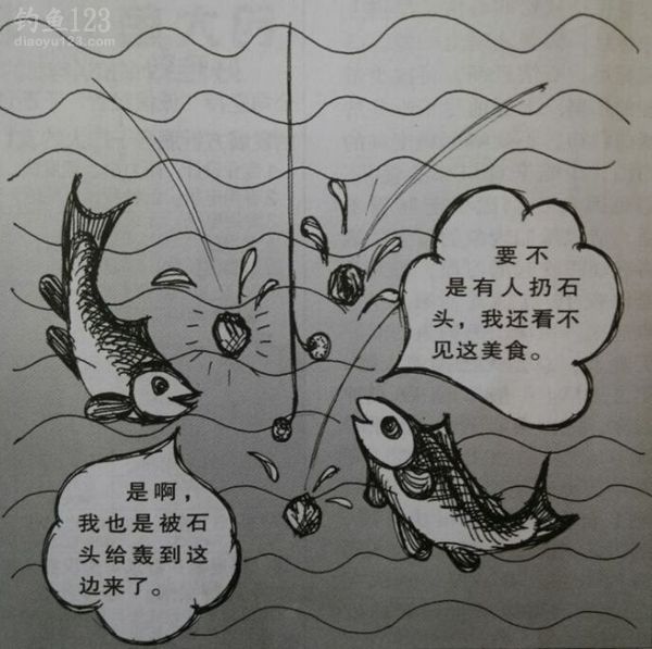 野钓钓白条