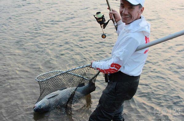 金沙河水库收获大青鱼