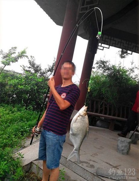 钓鳊鱼
