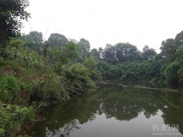 佛阴利群水库风景