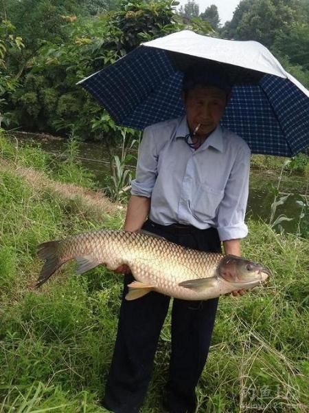 和大草鱼合影