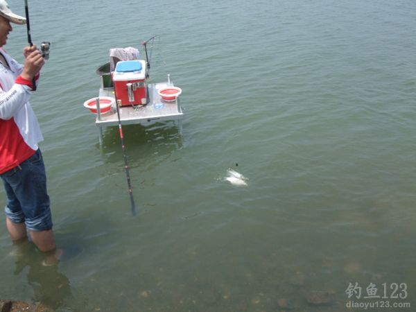 鸭河水库遛鱼