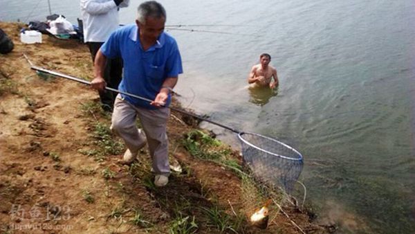 鱼被抄上岸
