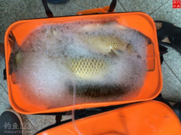 最后渔货