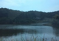 无名水库过足钓鱼瘾鲫鱼草鱼连竿上