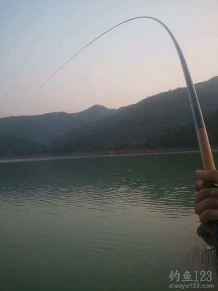 水吼水库钓草鱼
