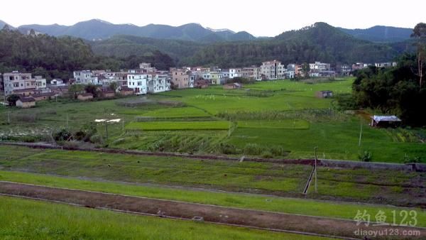 绿油油的草地