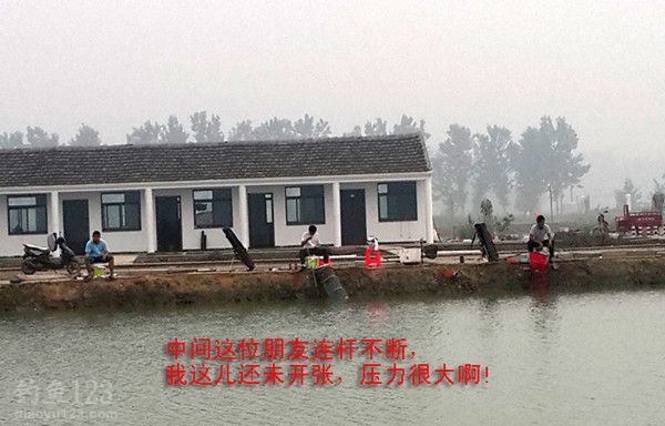 鱼塘对面开始连续上鱼