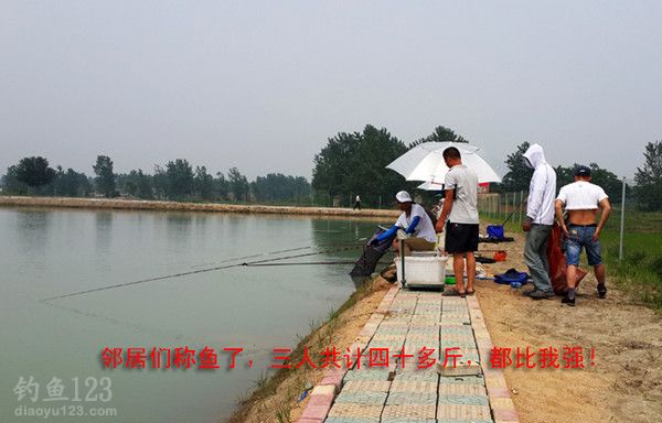 又中一条