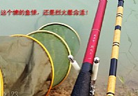 鱼塘垂钓小有收获