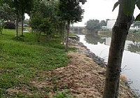 全家出钓重在渔乐