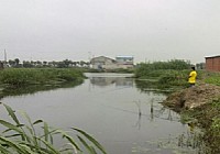 夏天午时难钓鲫,要钓就钓早和晚