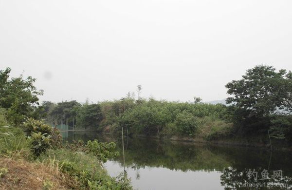 水库风景