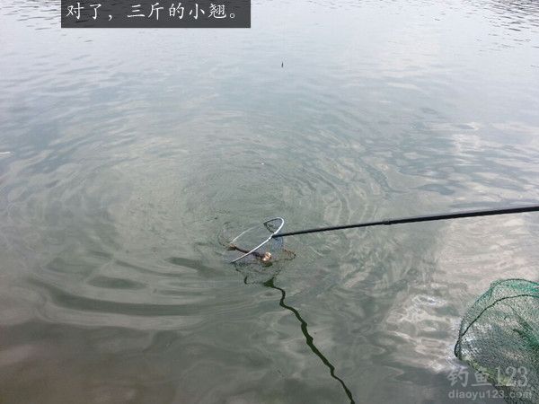 鲁班水库钓鱼