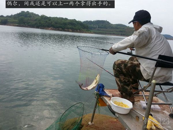 旁边的钓友