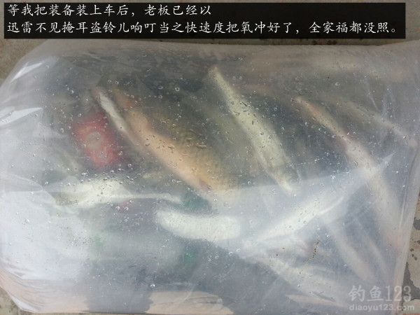 渔获打氧放到车里