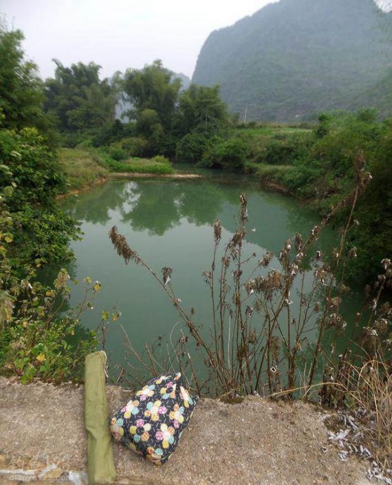 兴科小河钓鲫偶遇大鲤鱼 