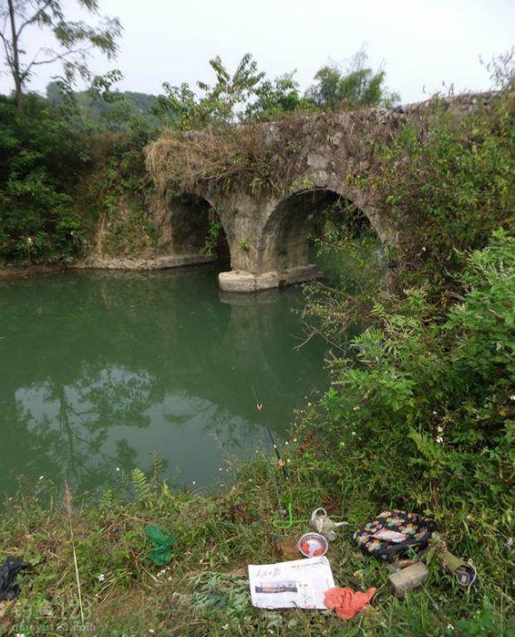 兴科小河钓鲫偶遇大鲤鱼 