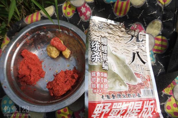 兴科小河钓鲫偶遇大鲤鱼 