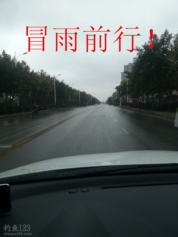 酒米蚯蚓草洞垂钓大鲫鱼的最佳组合