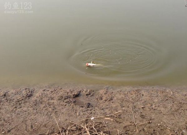 垂钓鸭淀水库第一次体验远投竿钓鱼