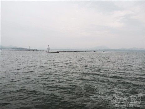 雪野水库爆钓之行(狂上鲤鱼) 