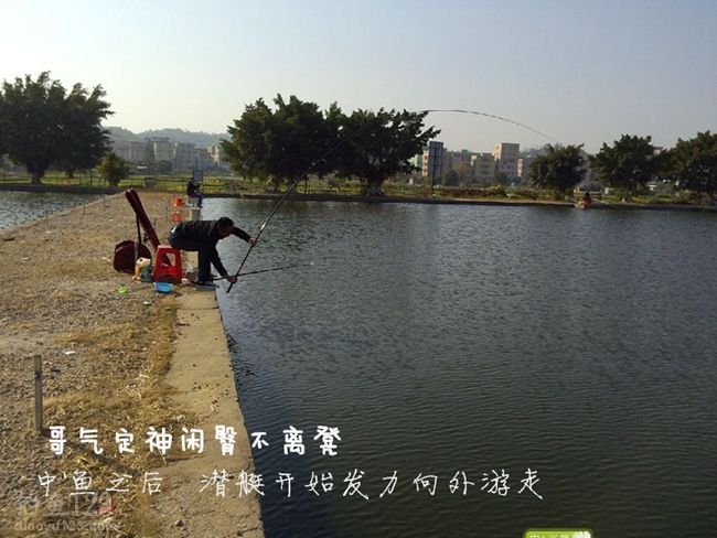 钓青鱼