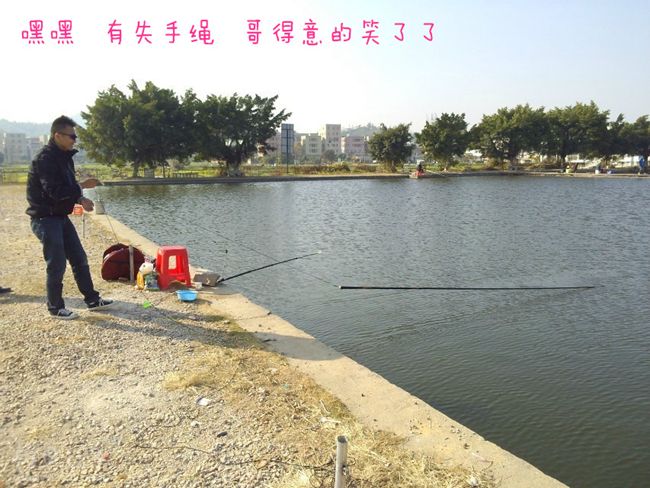钓青鱼