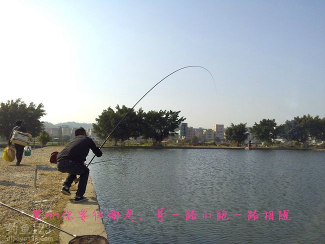 钓青鱼