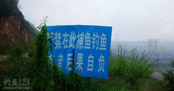 韩江梅州段鳊鱼大丰收
